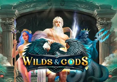 Wilds & Gods screenshot